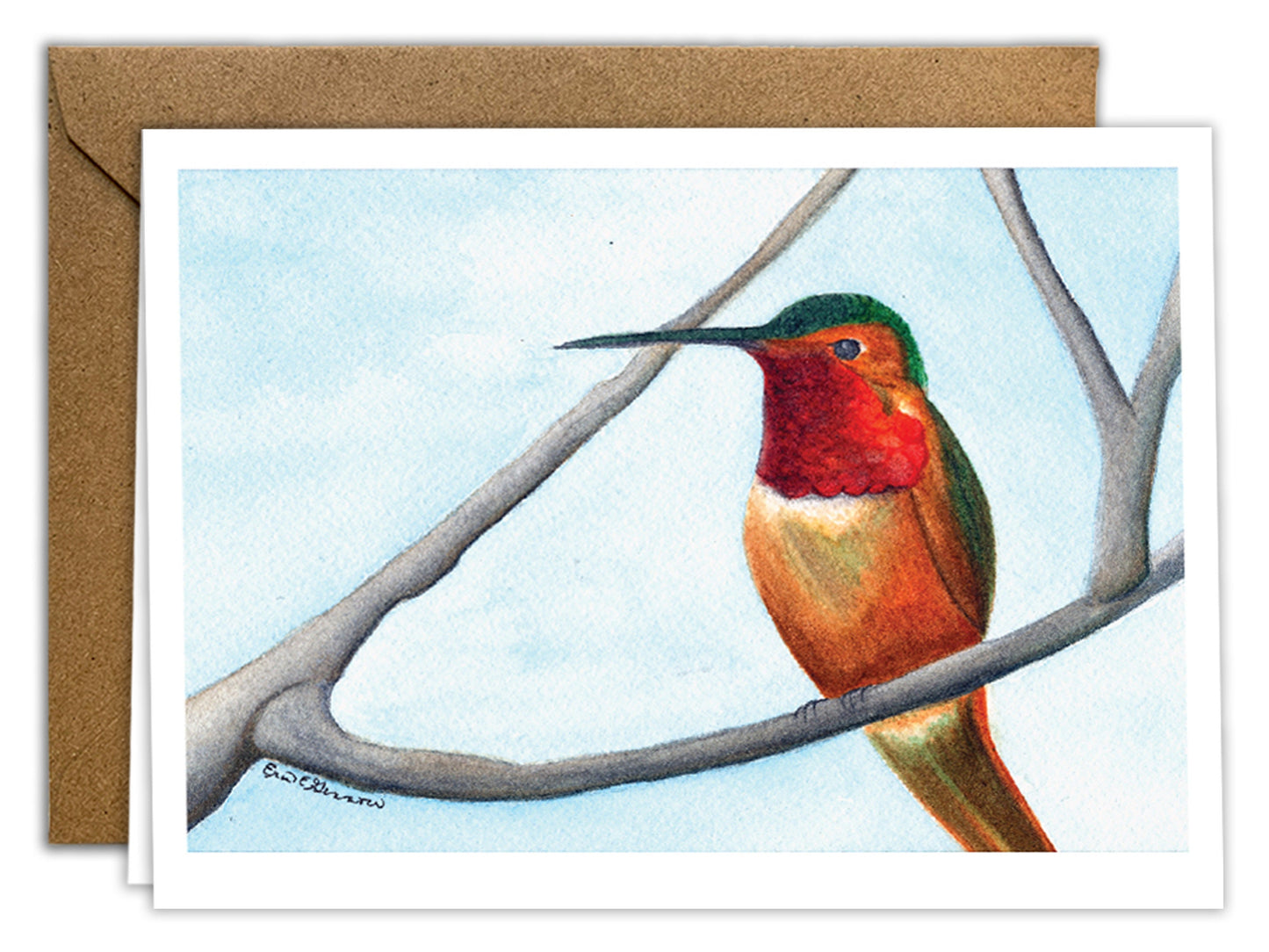 The Hummingbird Series - Greeting Card Set of 8