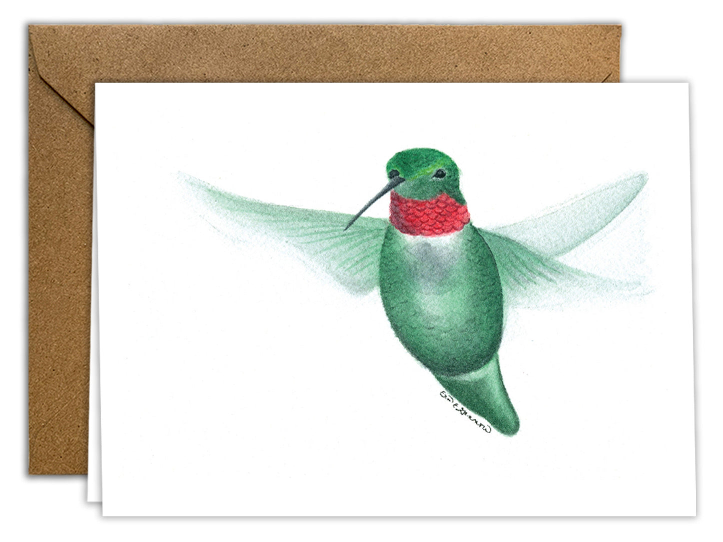 The Hummingbird Series - Greeting Card Set of 8