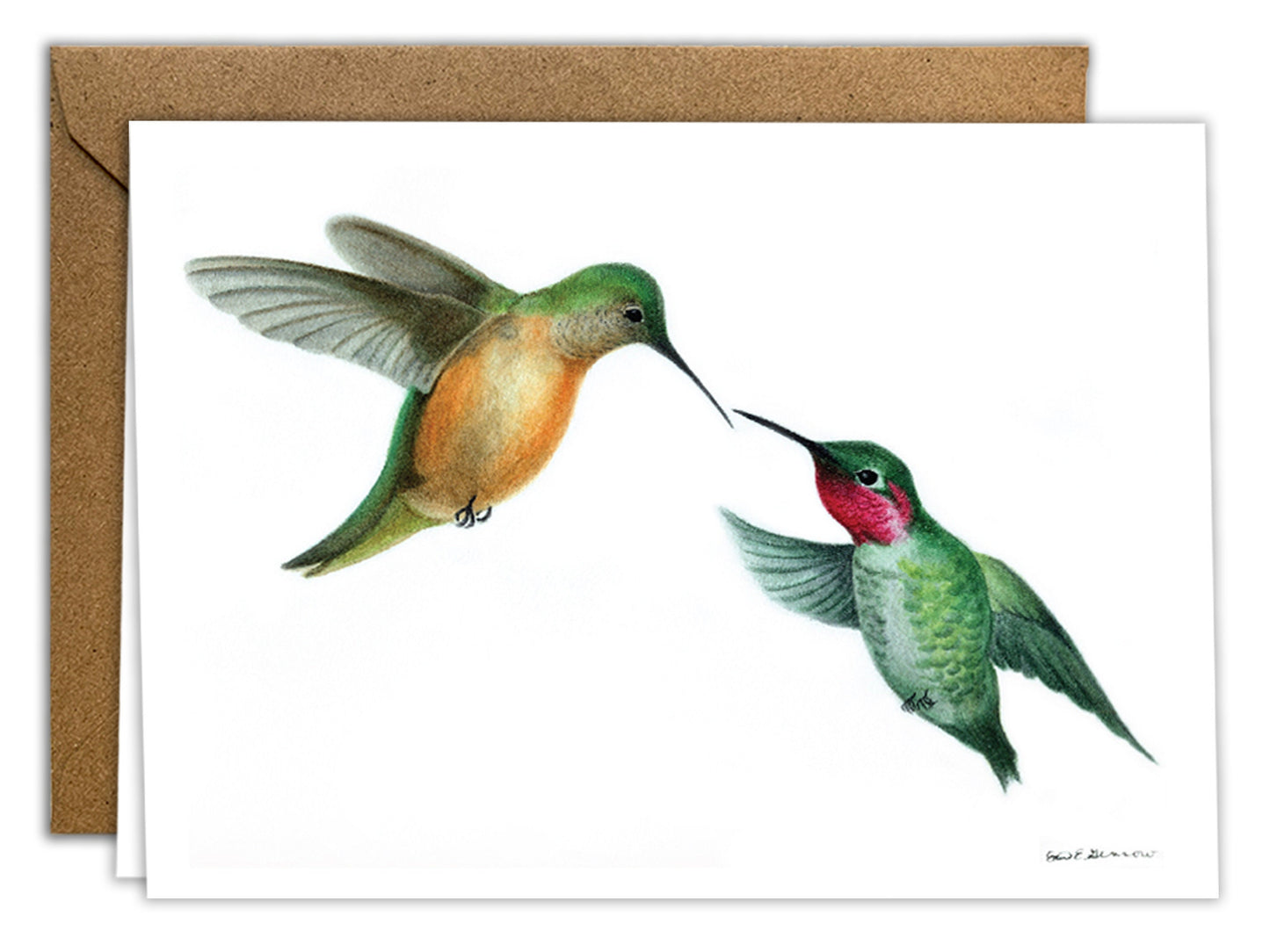 The Hummingbird Series - Greeting Card Set of 8