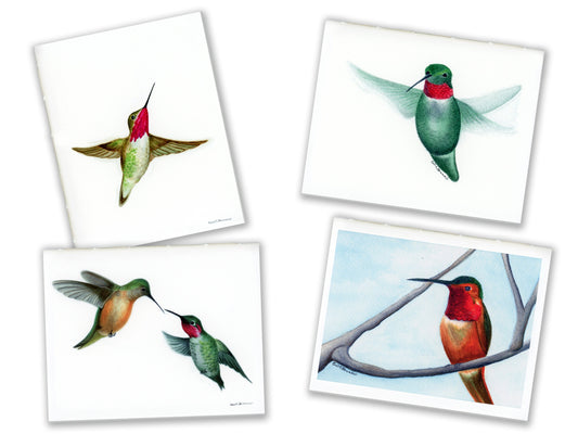 4 Small Journals, The Hummingbird Series