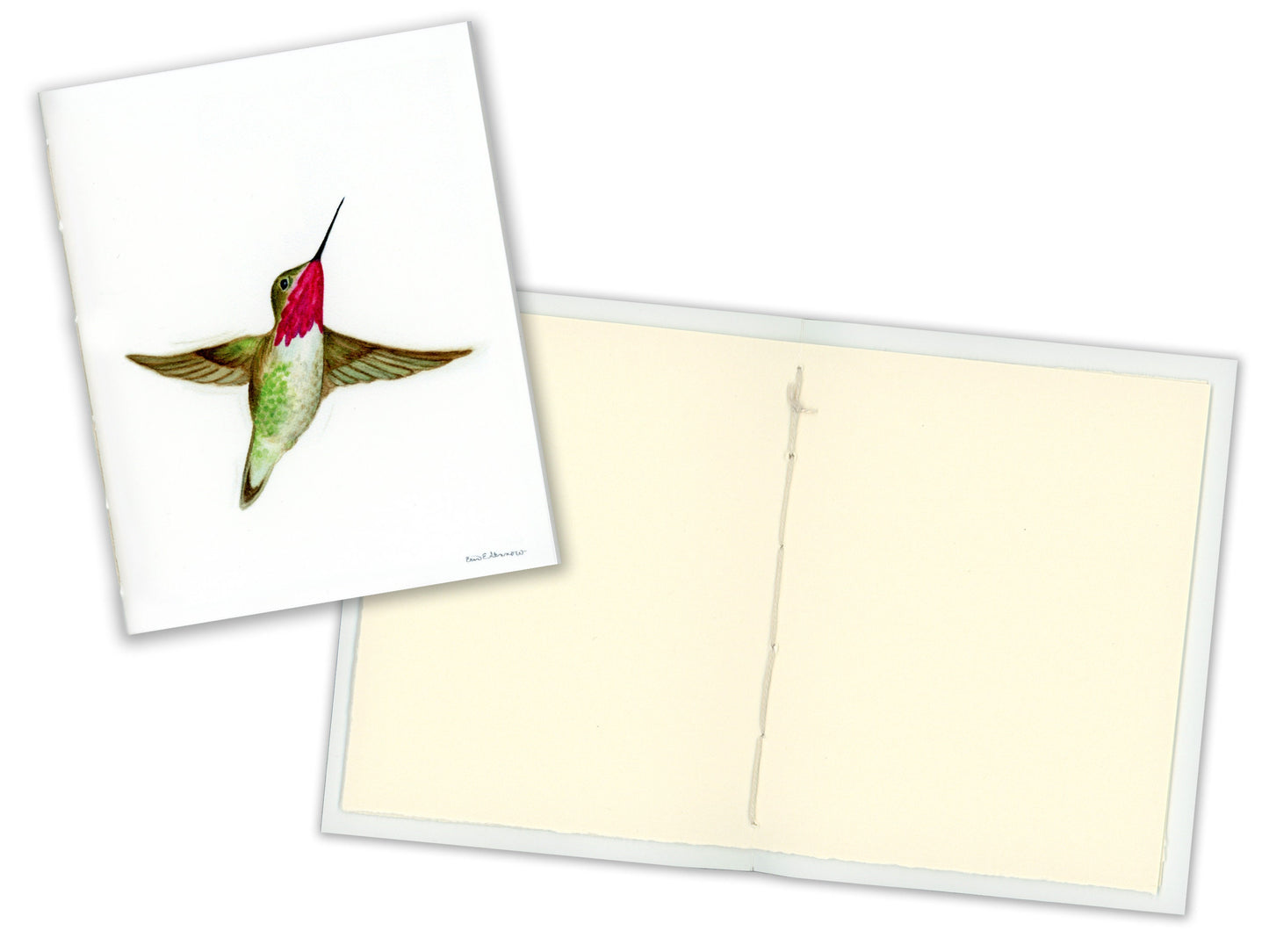 4 Small Journals, The Hummingbird Series