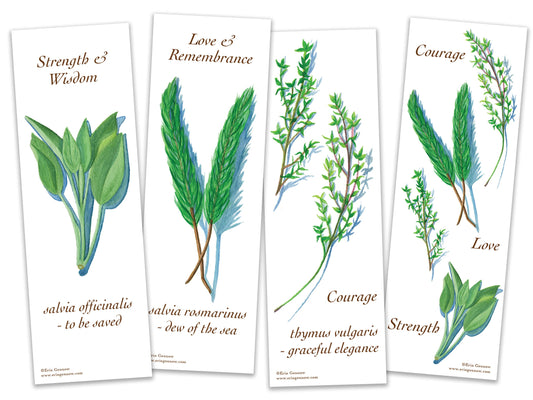 Bookmarks - Set of 4 - Culinary Herb Series - Sage, Rosemary, Thyme, Handmade, 100% cotton rag heavy weight paper