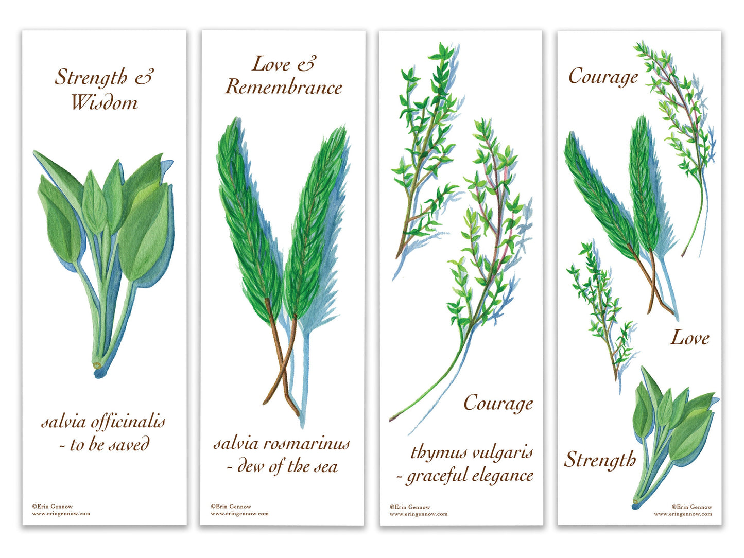 Bookmarks - Set of 4 - Culinary Herb Series - Sage, Rosemary, Thyme, Handmade, 100% cotton rag heavy weight paper