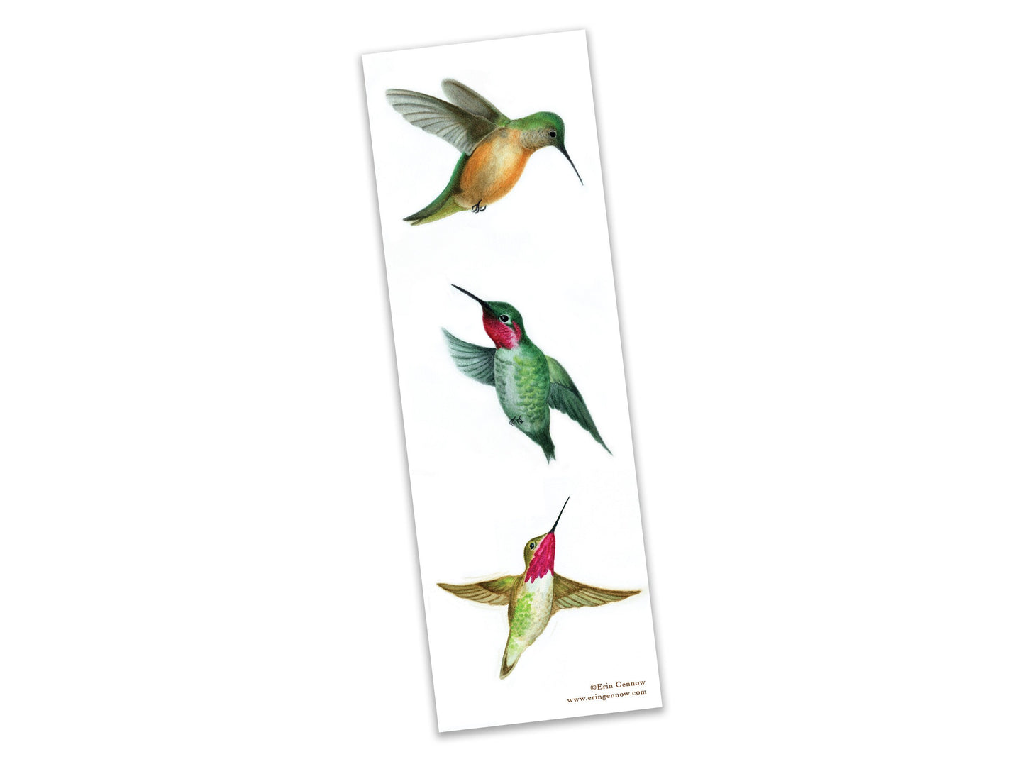 Bookmarks - Set of 4 - The Hummingbird Series - Handmade, 100% cotton rag heavy weight paper