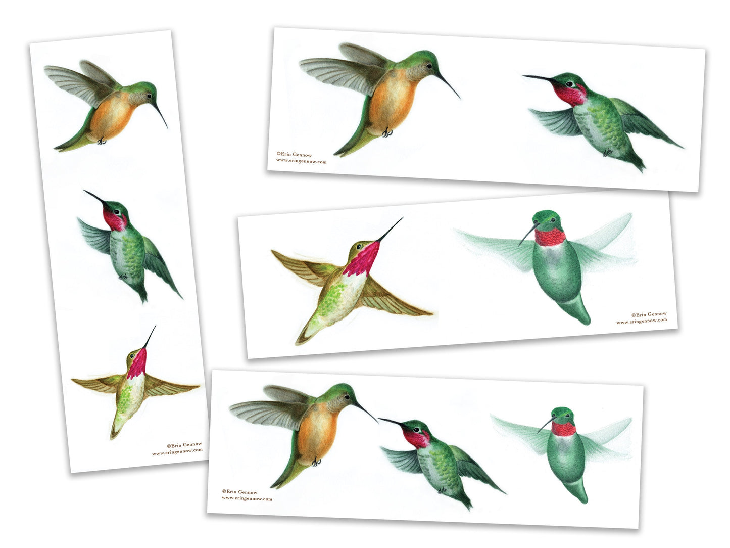 Bookmarks - Set of 4 - The Hummingbird Series - Handmade, 100% cotton rag heavy weight paper