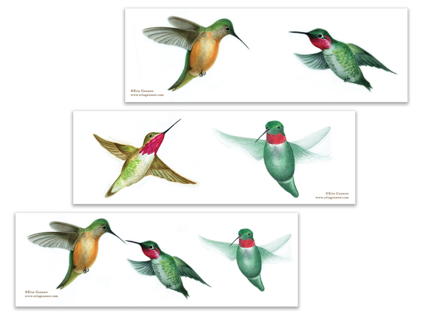 Bookmarks - Set of 4 - The Hummingbird Series - Handmade, 100% cotton rag heavy weight paper