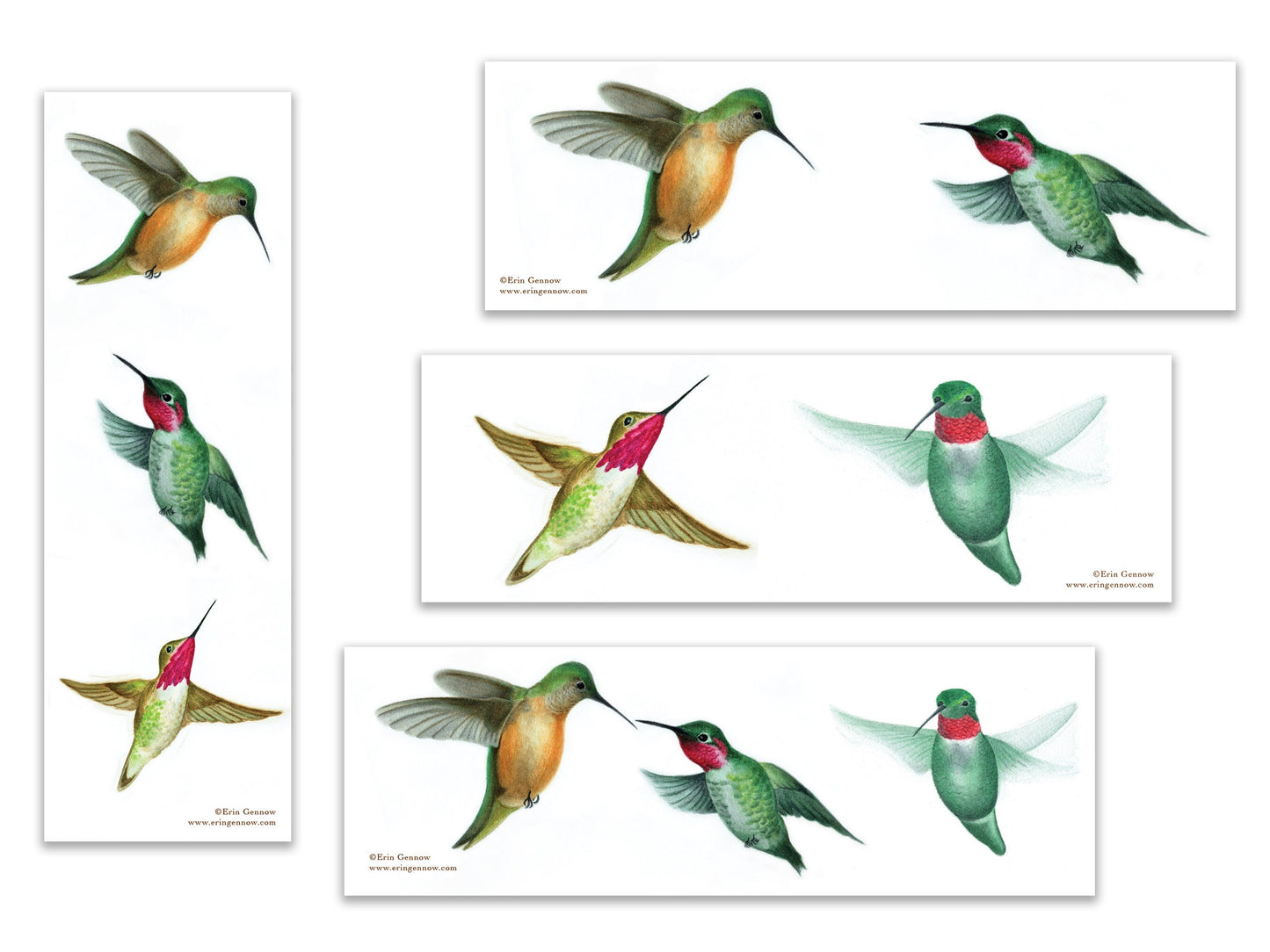 Bookmarks - Set of 4 - The Hummingbird Series - Handmade, 100% cotton rag heavy weight paper