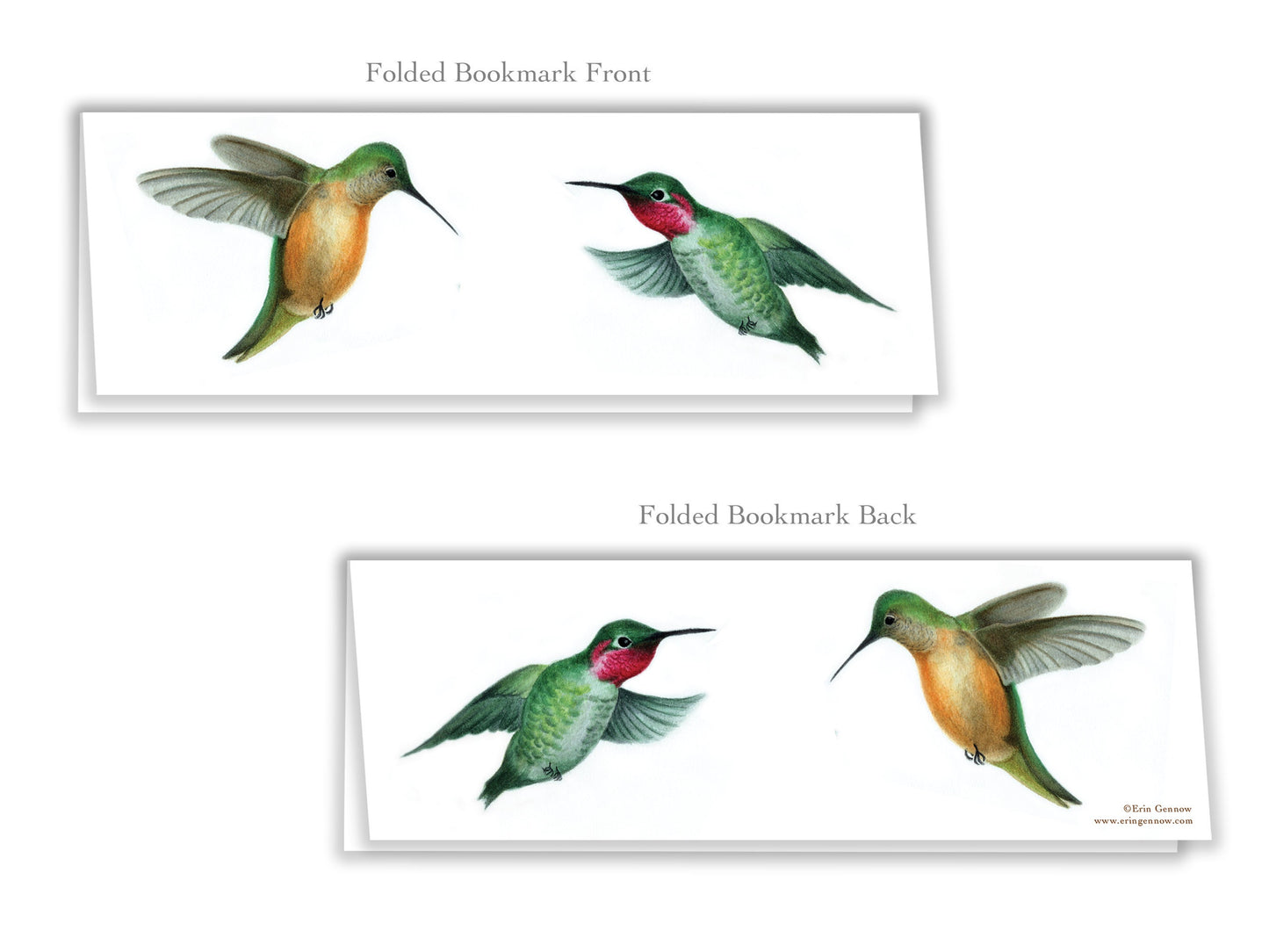 Folded Bookmarks - Set of 4 - The Hummingbird Series - Handmade, 100% cotton rag heavy weight paper