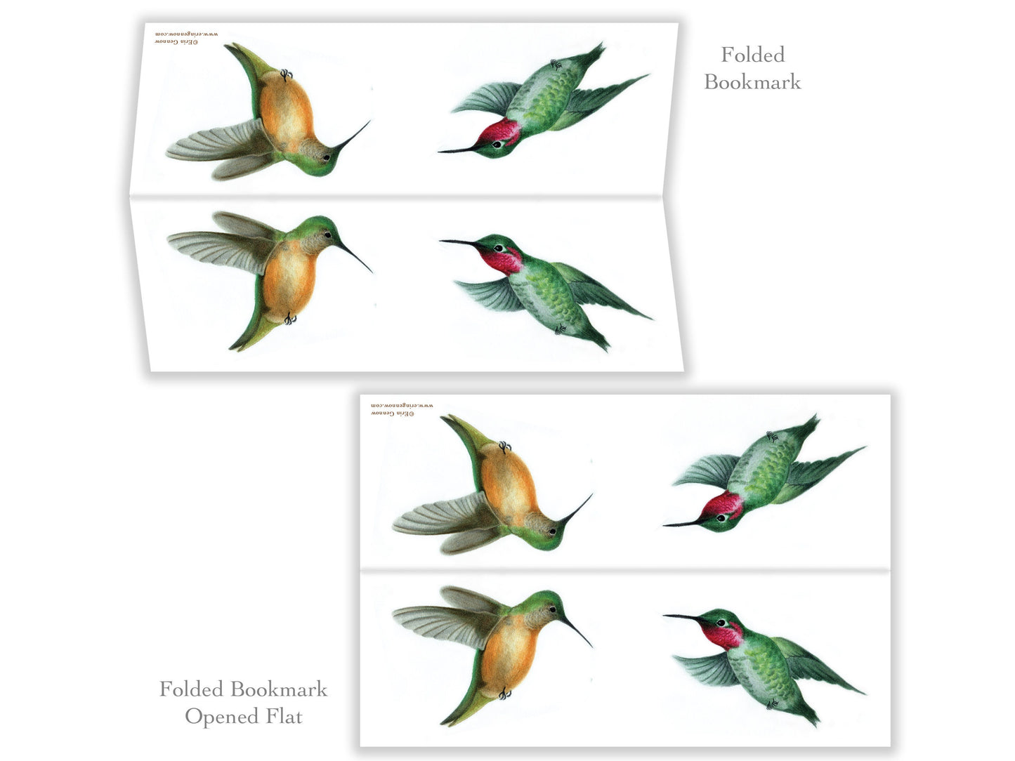 Folded Bookmarks - Set of 4 - The Hummingbird Series - Handmade, 100% cotton rag heavy weight paper