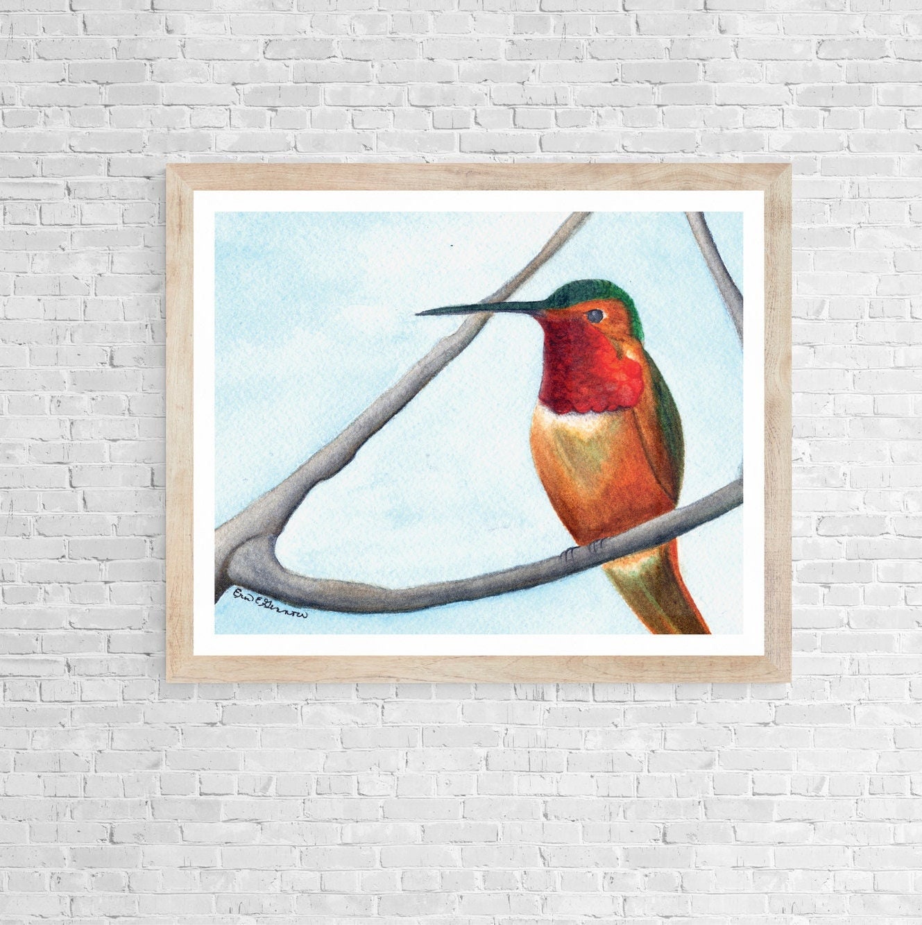 Hummingbird Sitting - Fine Art Print - The Hummingbird Series