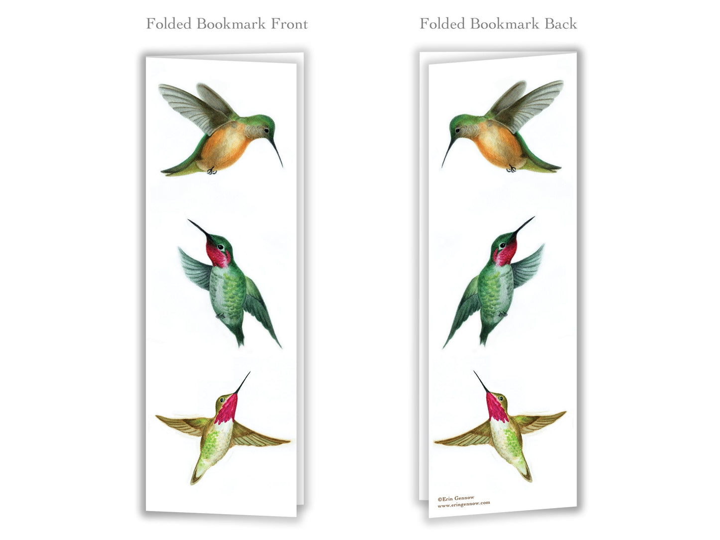 Folded Bookmarks - Set of 4 - The Hummingbird Series - Handmade, 100% cotton rag heavy weight paper