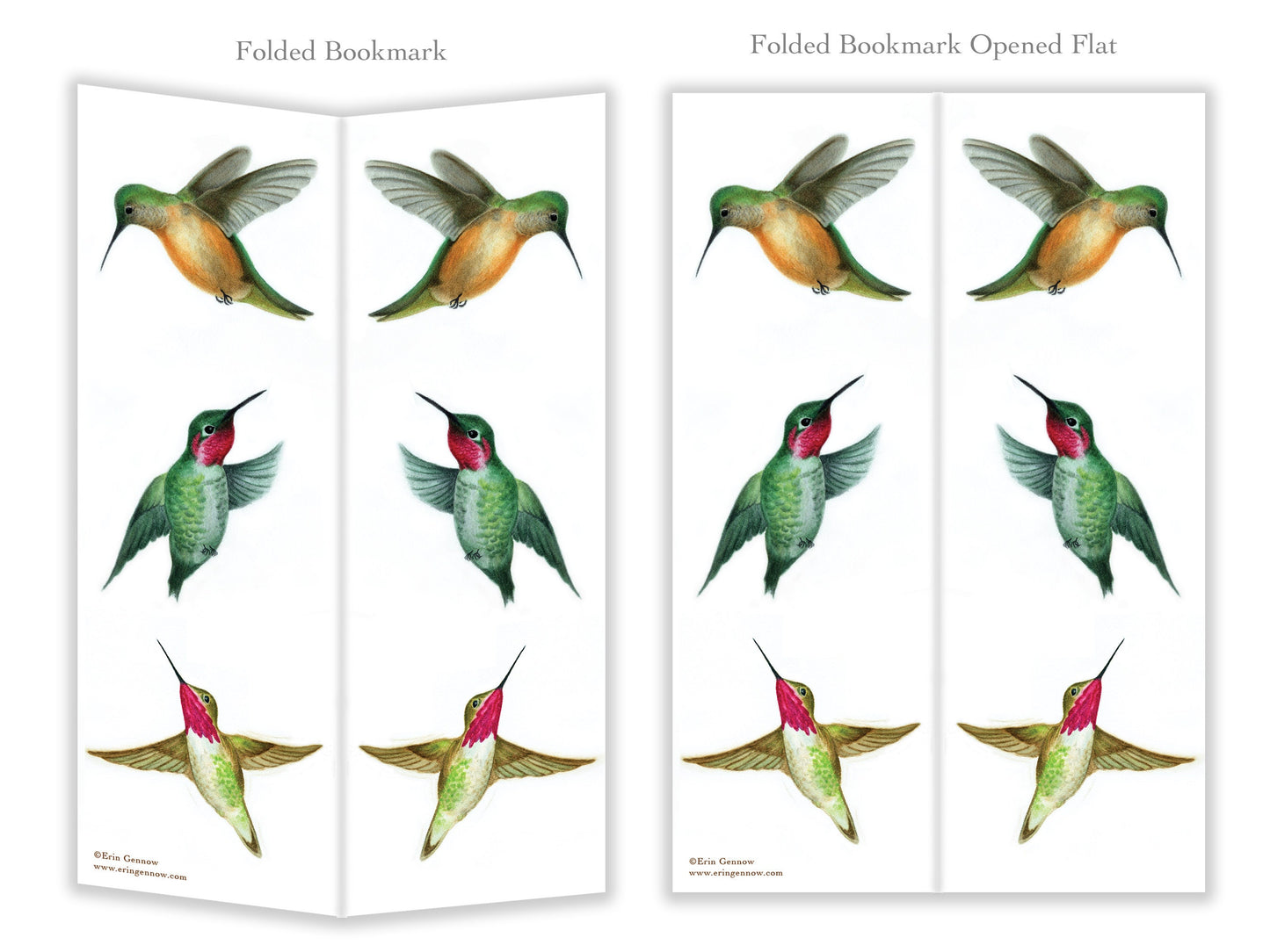 Folded Bookmarks - Set of 4 - The Hummingbird Series - Handmade, 100% cotton rag heavy weight paper