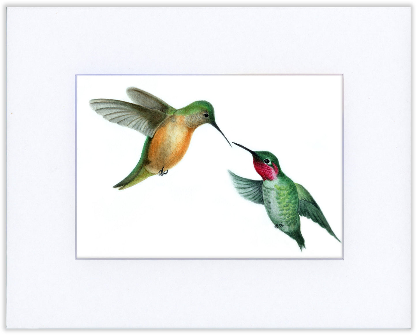 Hummingbirds Together - Fine Art Print - The Hummingbird Series