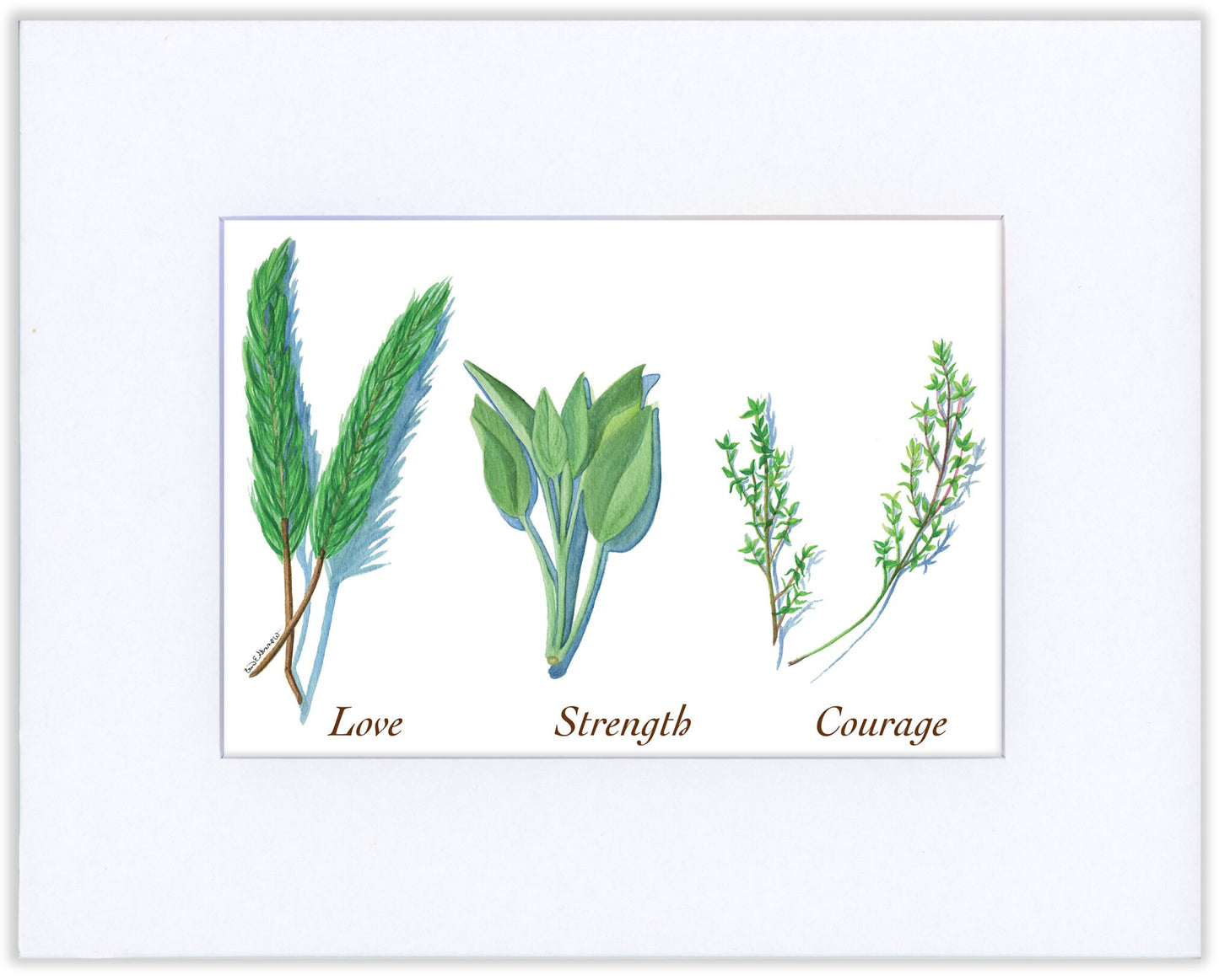 Rosemary, Sage and Thyme - Fine Art Print - Culinary Herb Series