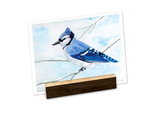 Blue Jay - Mini Fine Art Print with Walnut Display Stand