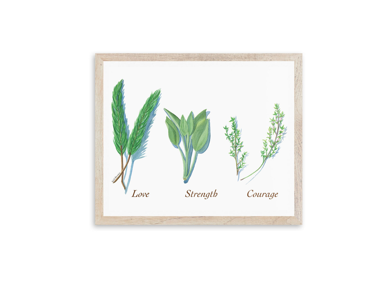 Rosemary, Sage and Thyme - Fine Art Print - Culinary Herb Series