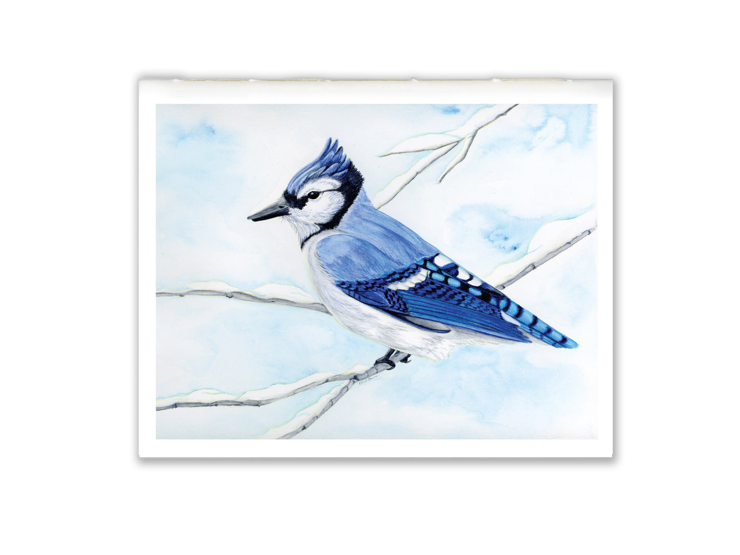 1 Small Journal - Winter Woodland Animals - Blue Jay