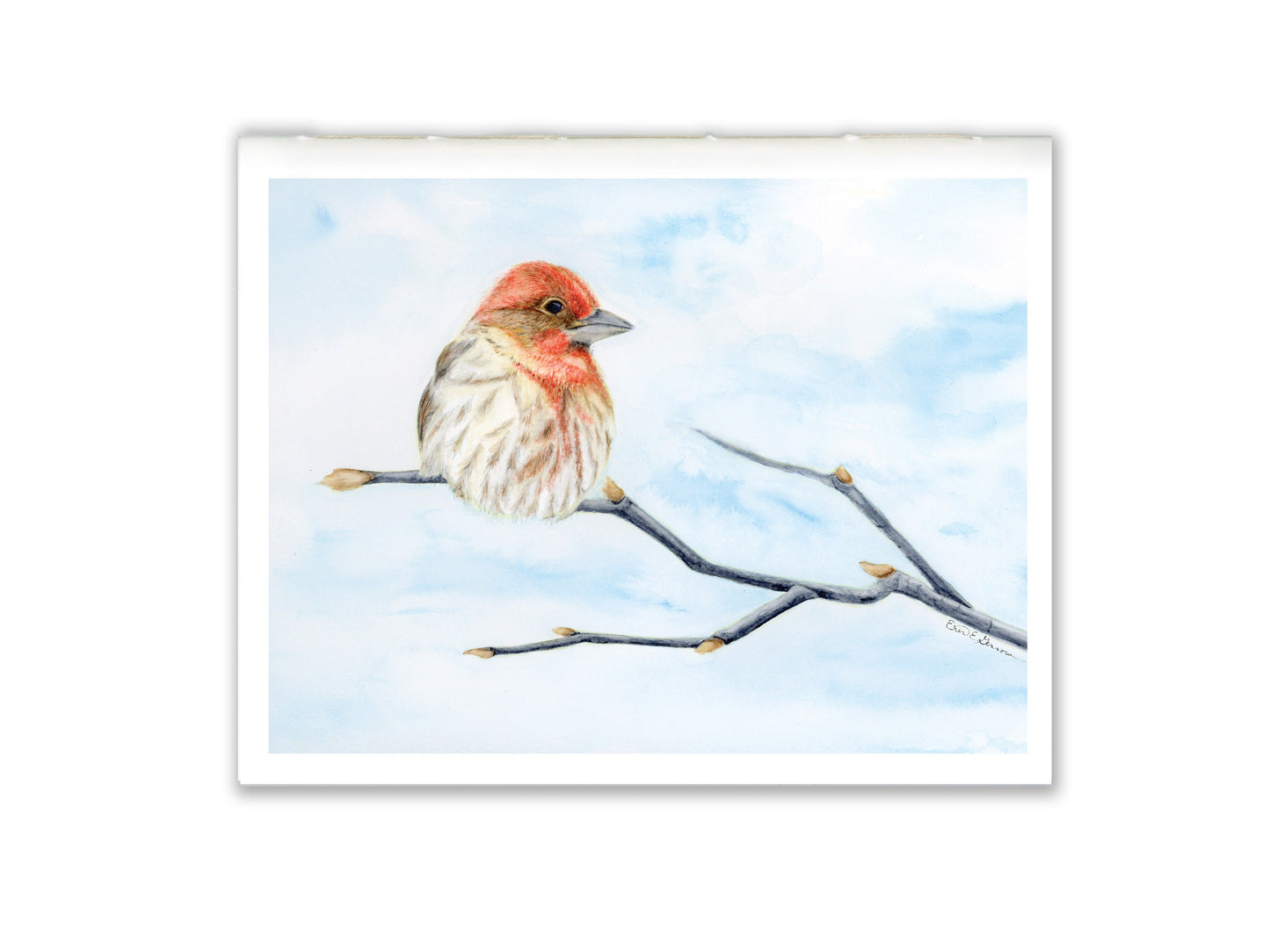 1 Small Journal - Winter Woodland Animals - House Finch