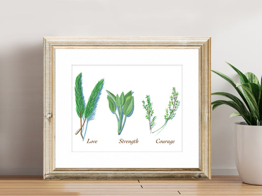 Rosemary, Sage and Thyme - Fine Art Print - Culinary Herb Series
