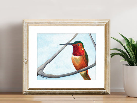 Hummingbird Sitting - Fine Art Print - The Hummingbird Series