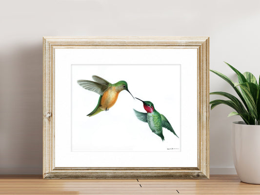 Hummingbirds Together - Fine Art Print - The Hummingbird Series