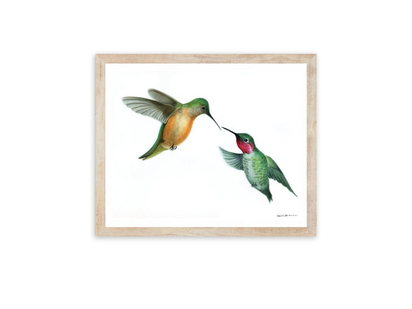 Hummingbirds Together - Fine Art Print - The Hummingbird Series