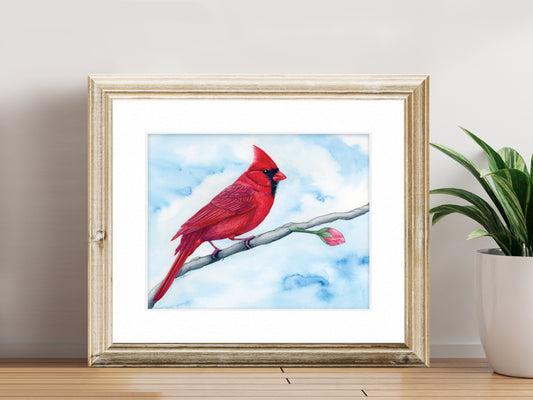 Cardinal - Fine Art Print - The Spring Series