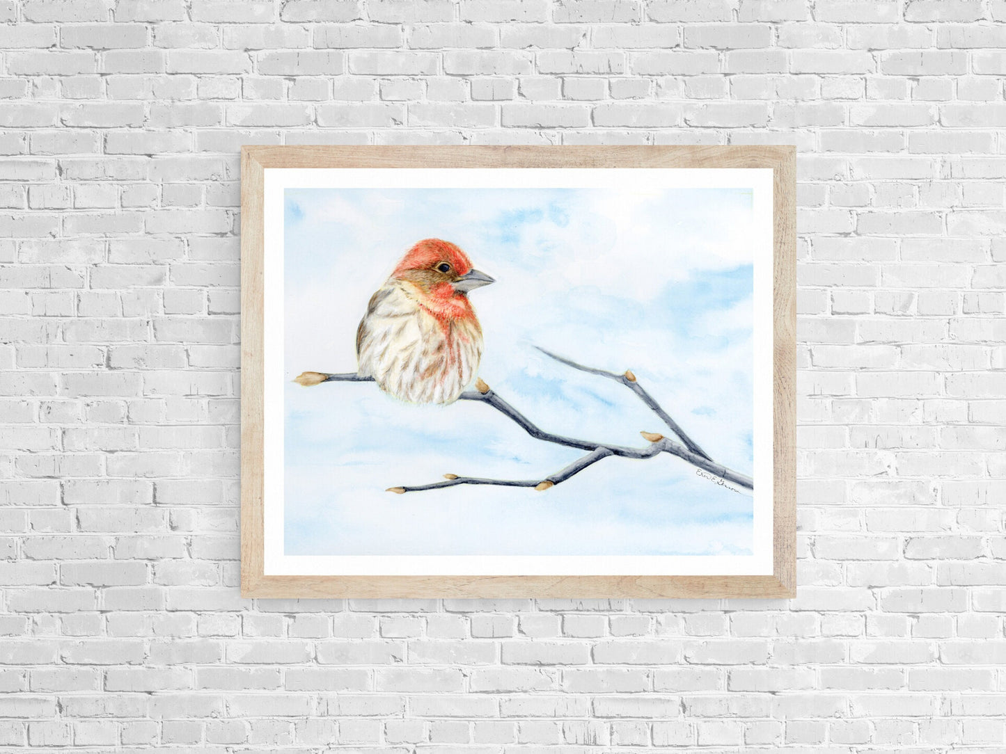 House Finch - Fine Art Print - Winter Woodland Animals Series